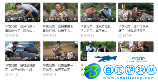 怎么四年過(guò)去了-華農(nóng)兄弟又盯上了竹鼠