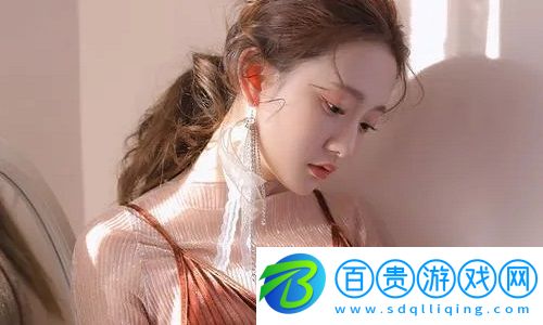 國(guó)內(nèi)永久免費(fèi)saas crm的崛起：高效、經(jīng)濟(jì)的企業(yè)數(shù)字化轉(zhuǎn)型解決方案