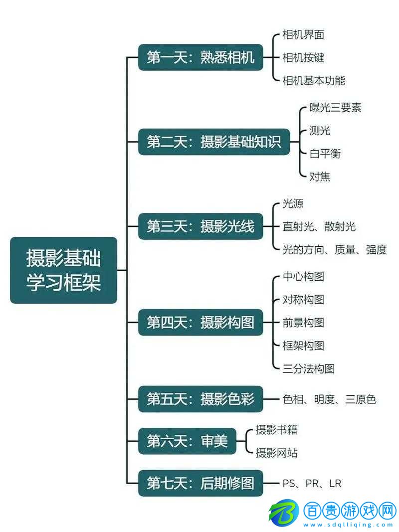 攝影藝術(shù)入門指南：從零基礎(chǔ)到攝影高手的成長之路