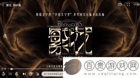新光影視高清版v3.0