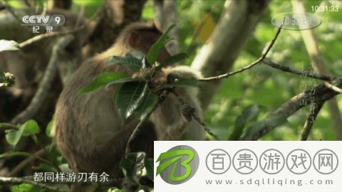 HAOTV永久免費版