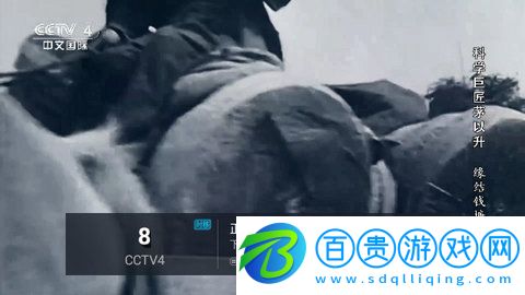 樟樹TV2023最新版