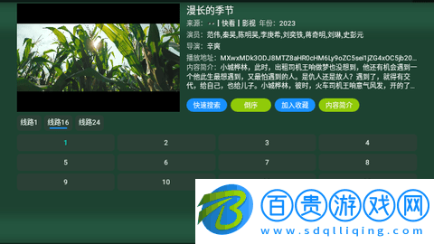TV火炬?zhèn)}高清免費版