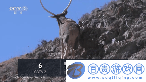 中田TV內(nèi)置源版