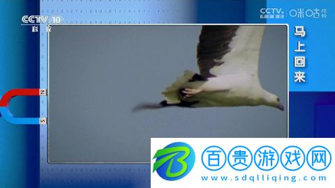 秋風TV電視盒子版