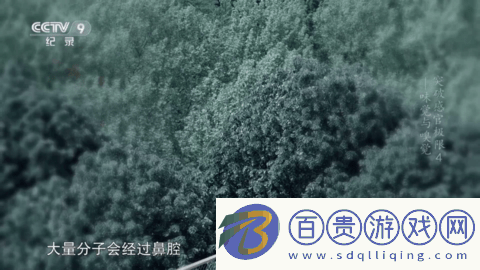 蕓汐影視TV去廣告版