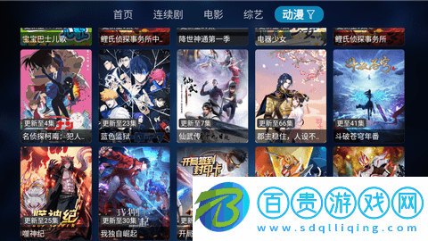 晟嘉影視TV版