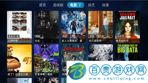 晟嘉影視TV版