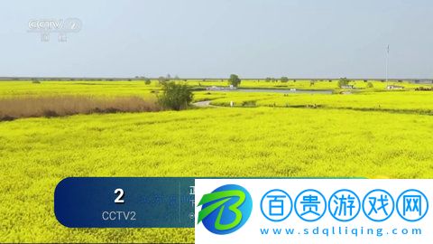 可樂TV安卓版