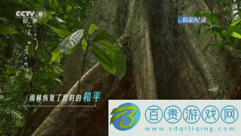 5G云電視app免費(fèi)版-5G云電視去廣告版下載v1.02.07