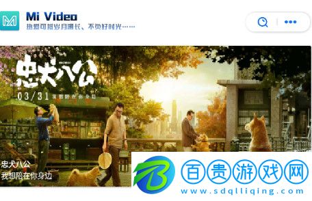 覓影影院去廣告版-覓影影院高清免費(fèi)版下載v3.9984