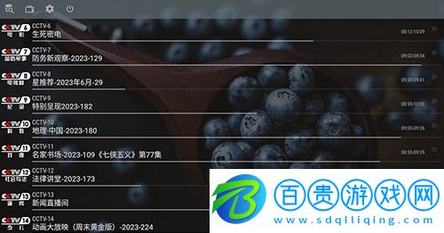 OTT Navigator電視版