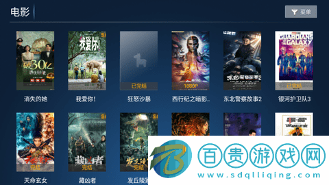 鼎盛影院TV版