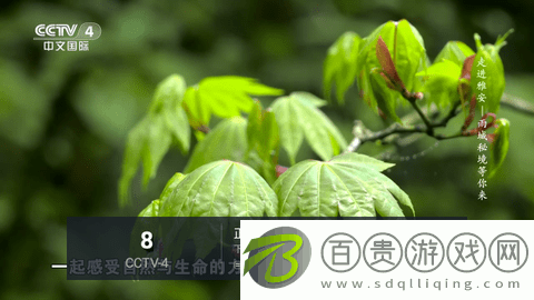 極光直播高清免費(fèi)版