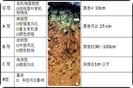 土壤為底圖土層中心土層和什么-土壤為底圖中心土層與心土層還有啥