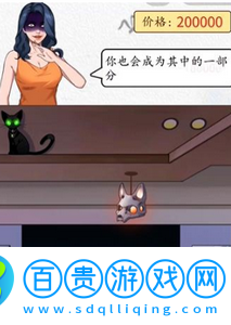 漢字達(dá)人愛(ài)心寵物店怎么過(guò)