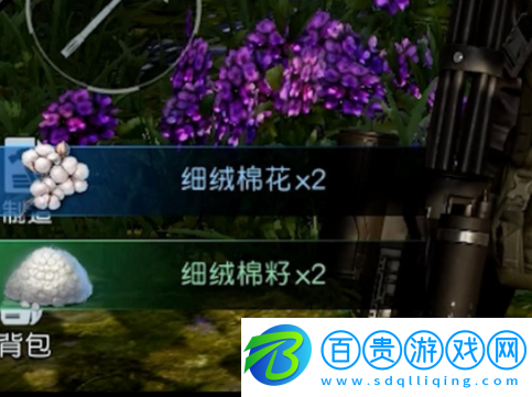 黎明覺醒中部平原資源有哪些
