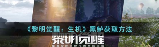 黎明覺(jué)醒：生機(jī)黑鱸怎么獲得-黑鱸獲取方法