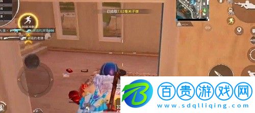 和平精英三周年萌寵怎么獲得