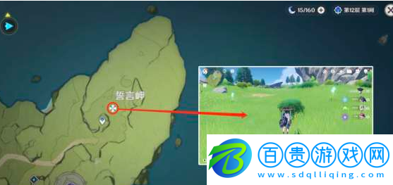 原神蒲公英籽在哪里
