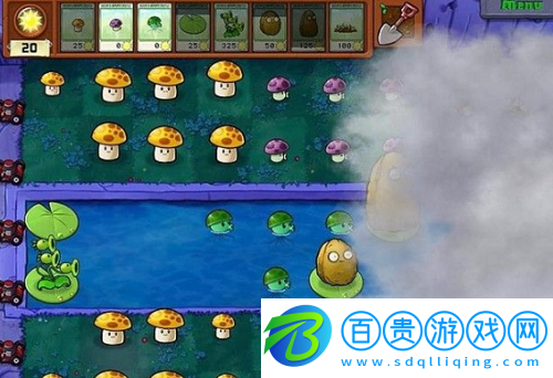 植物大戰(zhàn)僵尸4