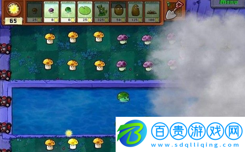 植物大戰(zhàn)僵尸4