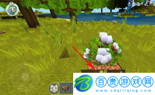 迷你世界棉花怎么獲得