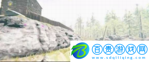 森林地圖怎么獲得呢