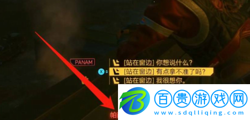 賽博朋克2077在哪找帕南
