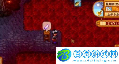星露谷物語巖漿鰻魚怎么釣