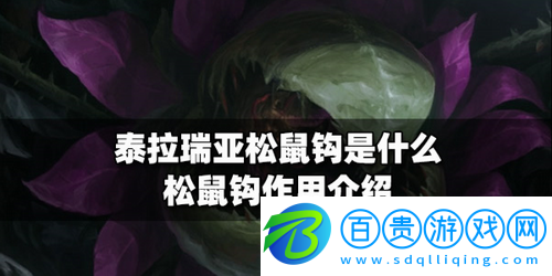 泰拉瑞亞松鼠鉤是什么-泰拉瑞亞松鼠鉤作用介紹