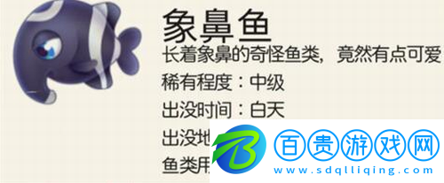 摩爾莊園象鼻魚怎么釣