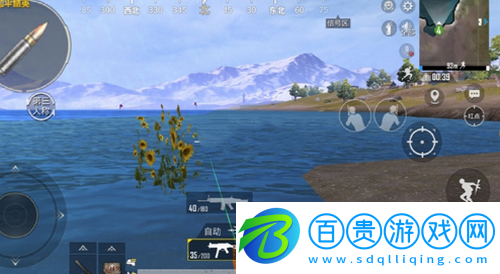 和平精英山谷向日葵在哪